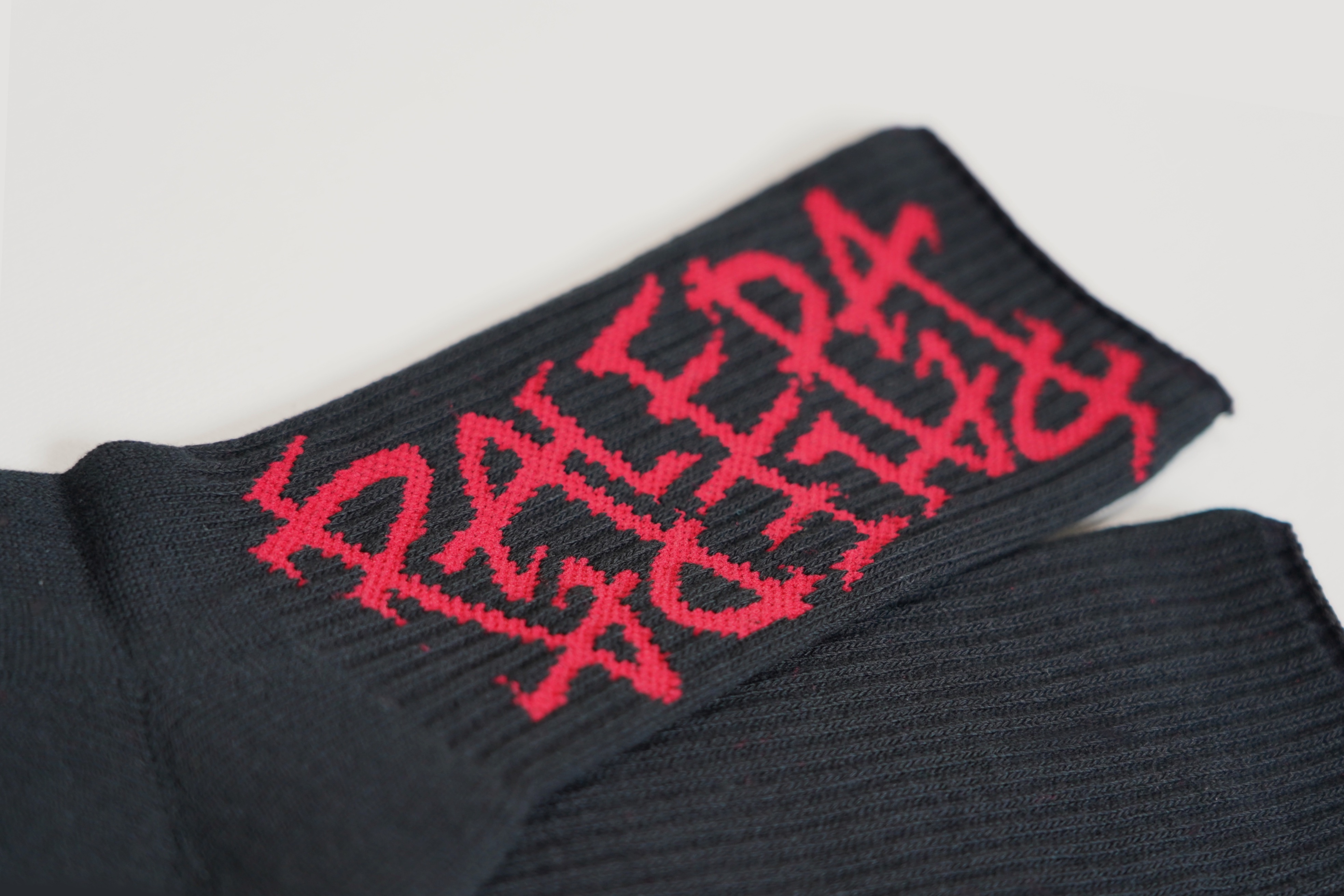 PALEDA Logo SOX（BLACK）