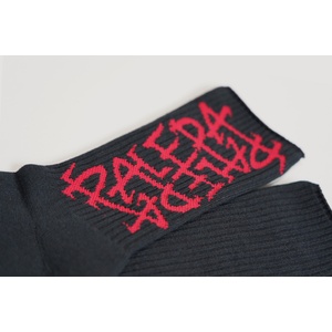 PALEDA Logo SOX（BLACK）
