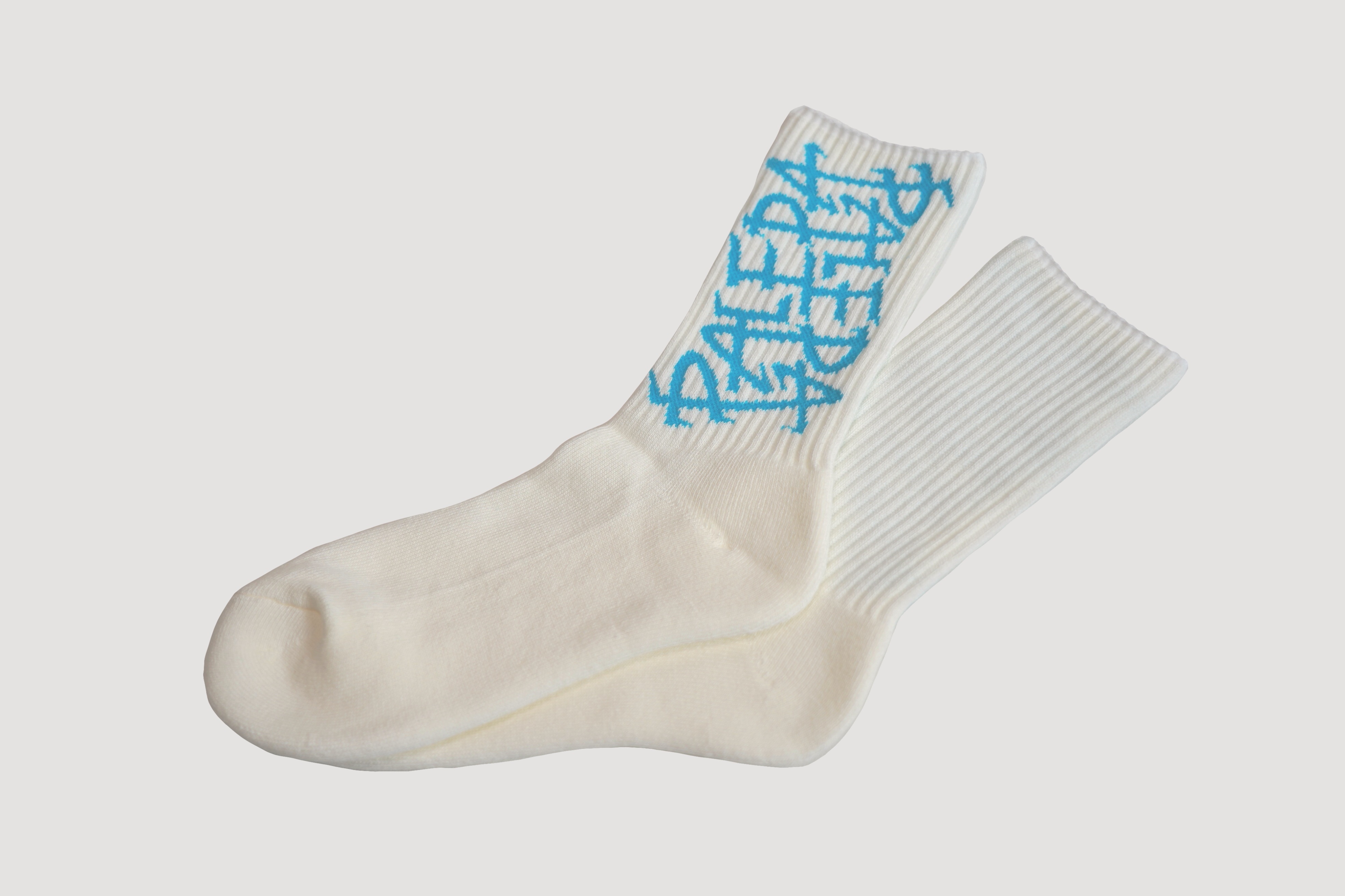 PALEDA Logo SOX（WHITE）