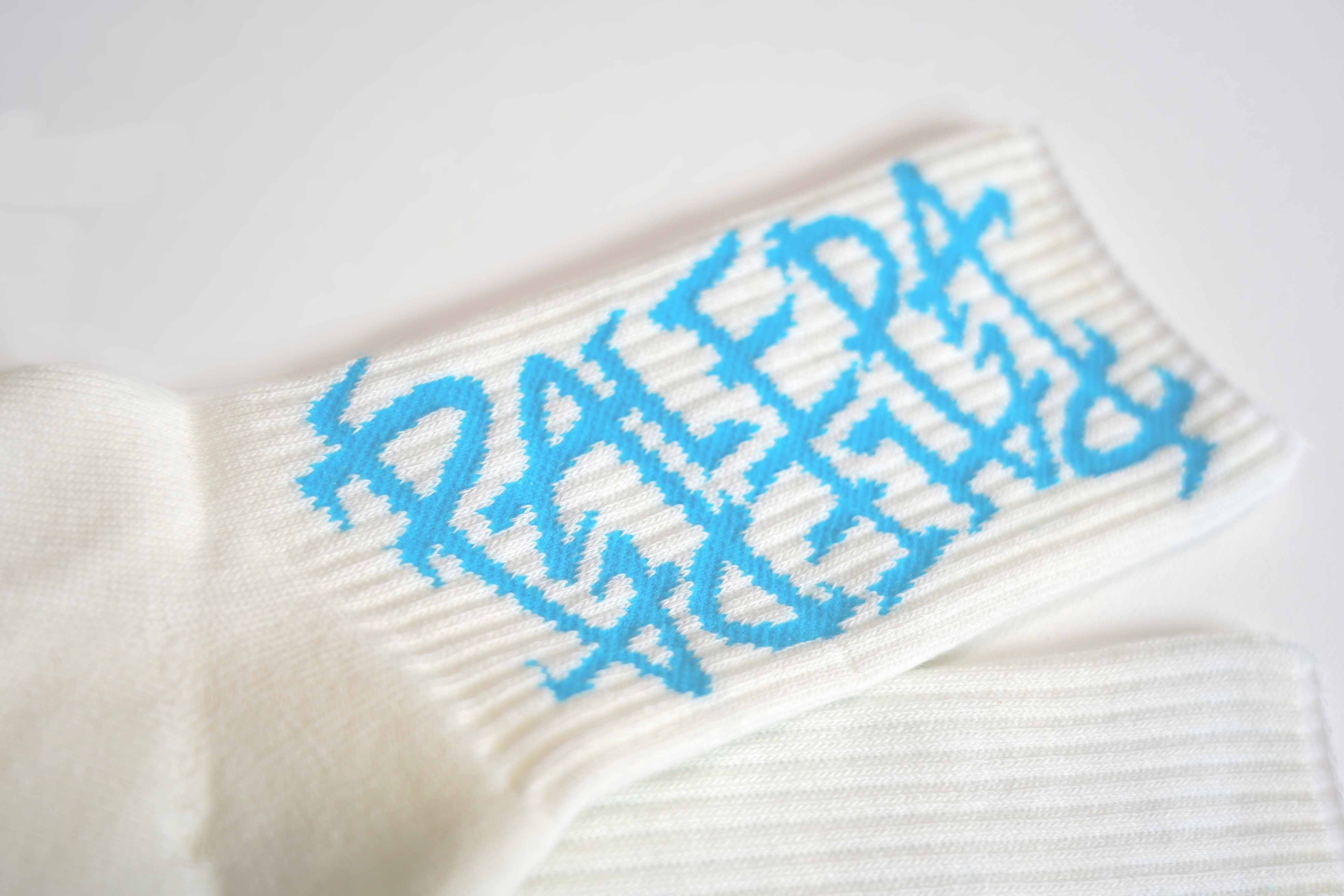 PALEDA Logo SOX（WHITE）