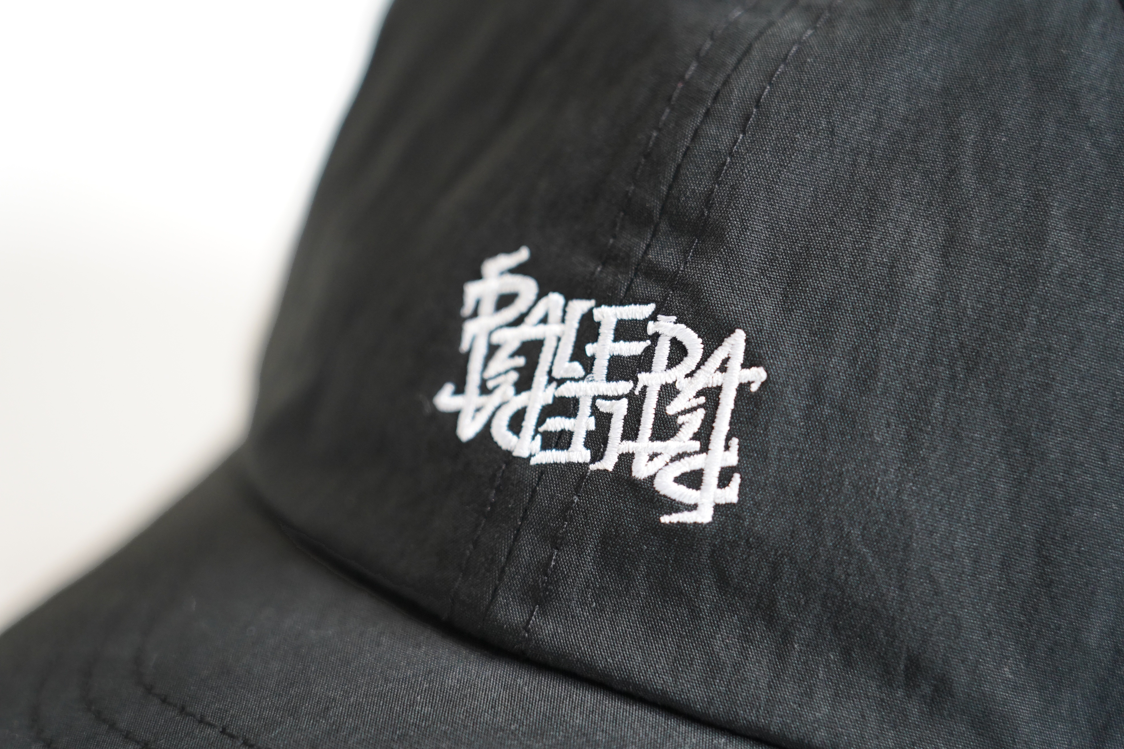 PALEDA Logo CAP